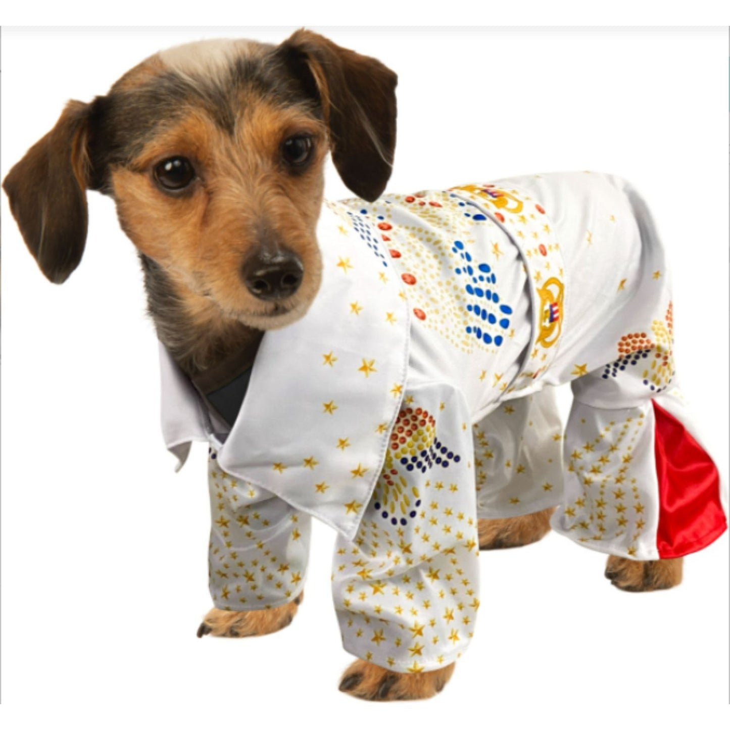 Elvis - Dog Jumpsuit Costume