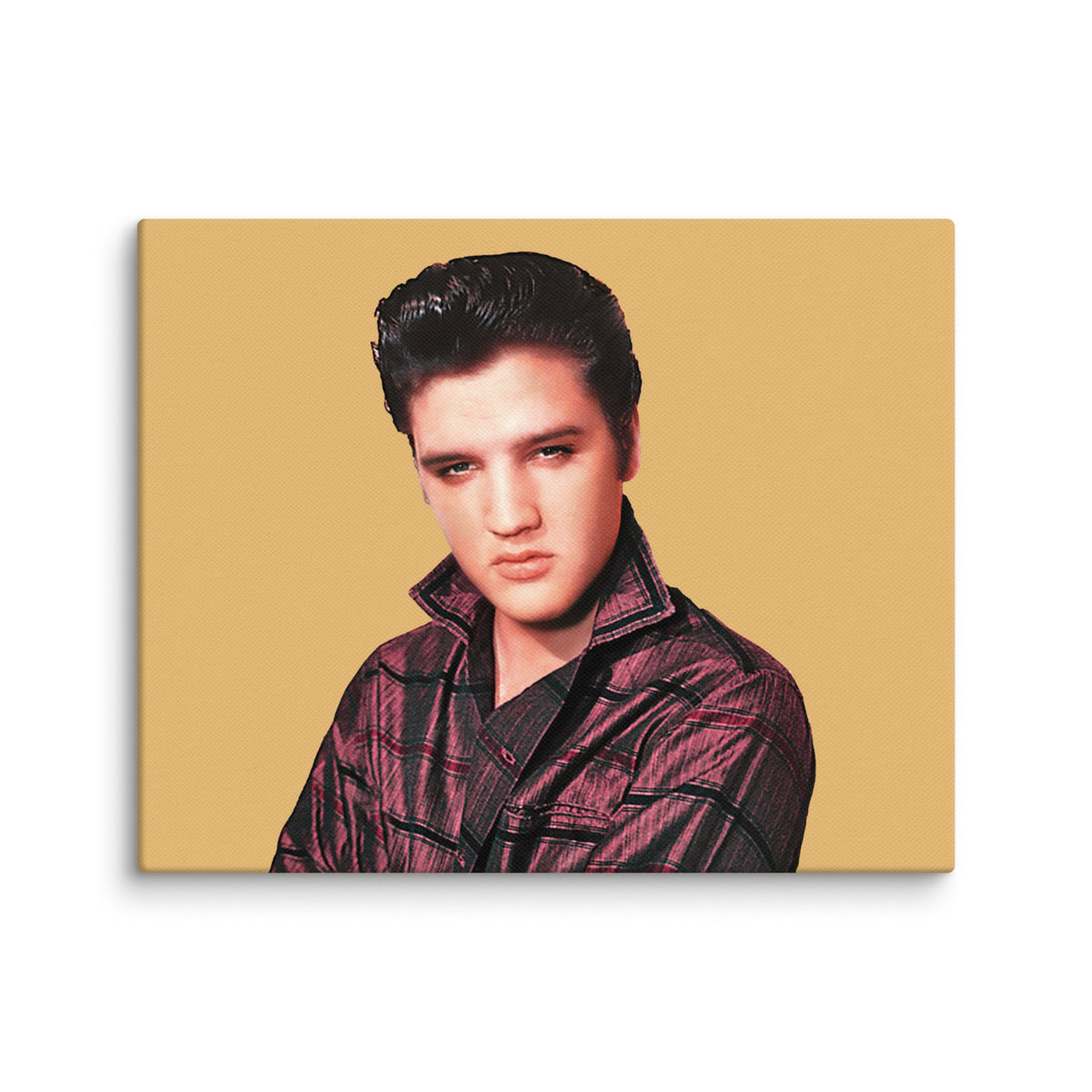 Elvis Stare 8" x 10" Canvas Print