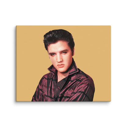 Elvis Stare 8" x 10" Canvas Print