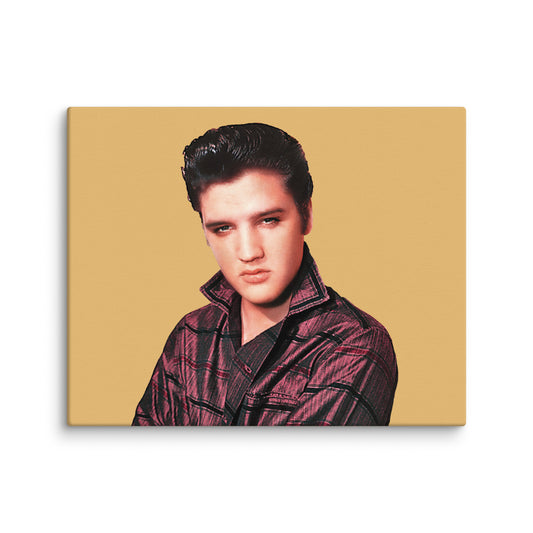 Elvis Stare 8" x 10" Canvas Print